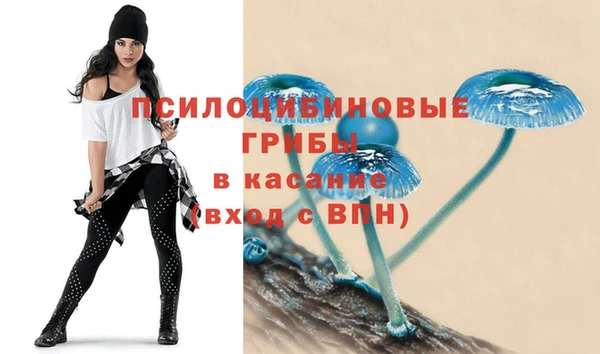 spice Дмитровск