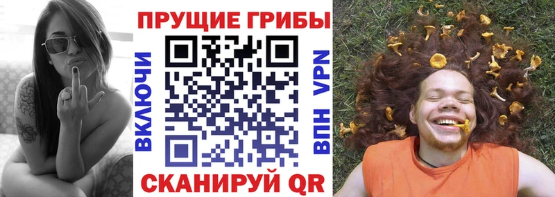 Псилоцибиновые грибы MAGIC MUSHROOMS  купить  цена  Печоры 